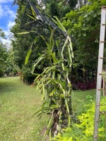 "T" metal garden sculpture by Steve Weis 3.4m tall - 3