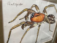 Signed Antspider art from 2007 - 3