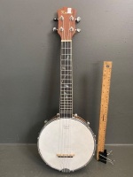 Kimise Banjo in case - 2