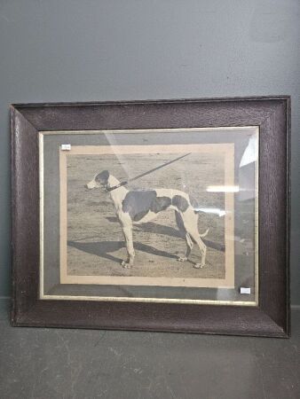 Framed Black & White Photo of Racing Grey Hound