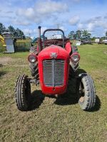 Massey Ferguson 35 Tractor with 4 Foot Slasher - 2