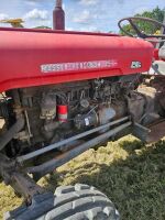 Massey Ferguson 35 Tractor with 4 Foot Slasher - 4