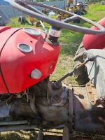 Massey Ferguson 35 Tractor with 4 Foot Slasher - 10