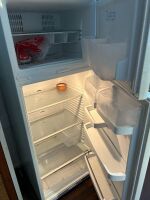 Fisher and Paykel fridge - 2