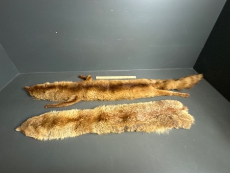 2 Vintage Fox Fur Stoles