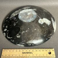 Salad Bowl made from 400 Million year old Fossil filled marble from Morocco - 2