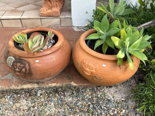 2 large terracotta pots with lion head motifs