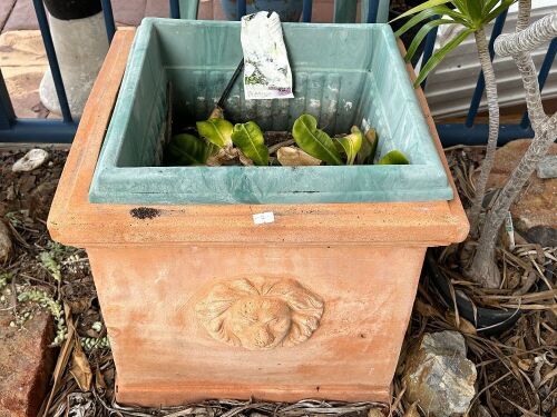 Square terracotta pot with lion head motifs