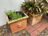 2 square terracotta pots with lion head motifs