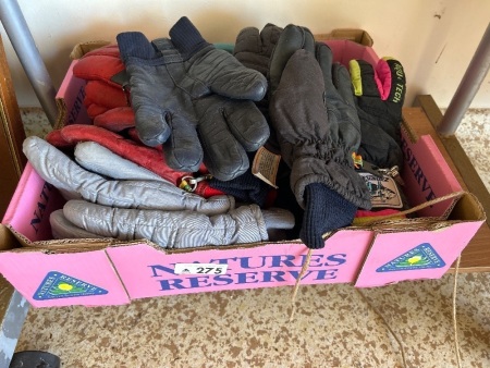 Assorted winter and ski gloves