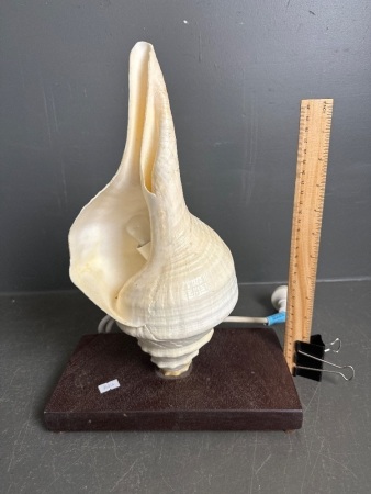 Mid Century Shell Lamp