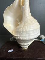 Mid Century Shell Lamp - 2