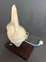 Mid Century Shell Lamp - 3