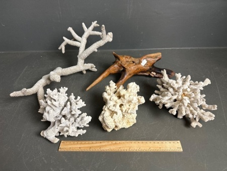Collection of Decorative Coral