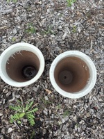 Pair cream garden pots - 2