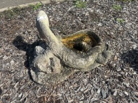 Concrete Goanna Bird Bath - 3