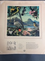 Shell Butterflies & Moths Project Album & Discover Australin Birds Prints Folio - Both Complete - 6
