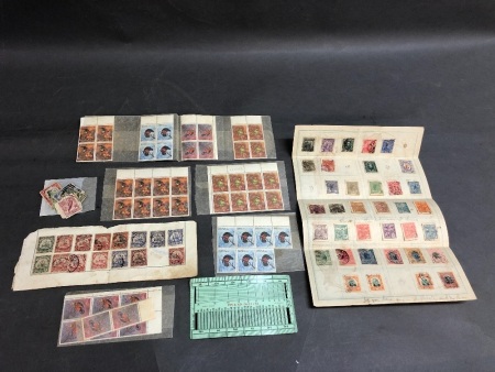 Collection of New Mint 1967 PNG Parrot Stamp Blocks + Some Older PNG & Brazillian Stamps