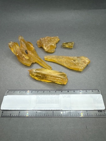 Four COPAL (Young Amber) Fossil Tree resin from Madagascar with dozens of insects