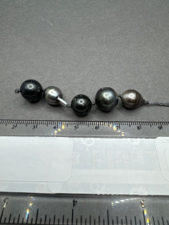 Five drilled Salt Water TAHITI Black Pearls