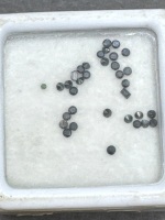 0.33 carats BLACK DIAMOND Gemstones - 2