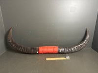 X Large Buffalo Horns