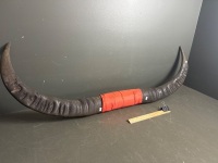 X Large Buffalo Horns - 2