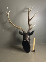 Resin Deer with Antlers - 4