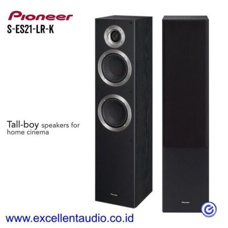 TALL-BOY SPEAKERS S-ES21-LR-K