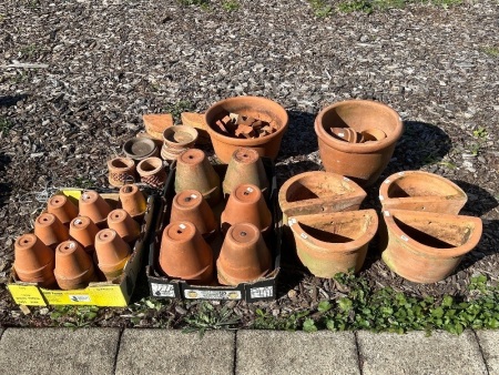 Large lot of Terracotta pots