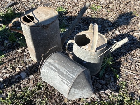 Vintage Galvinished Lot inc 2 watering cans (1 marked Tomlin) and shower tank