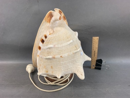 Vintage Helmet Conch Shell Light