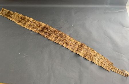 Large Snake Skin in Good Condition App. 2700mm Long