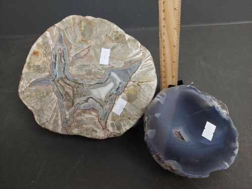 Two Crystal Fossils