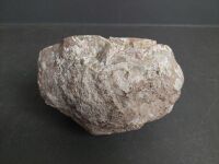 Two Crystal Fossils - 6