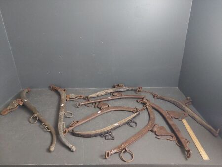 Lot of Assorted Horse Hames - most marked