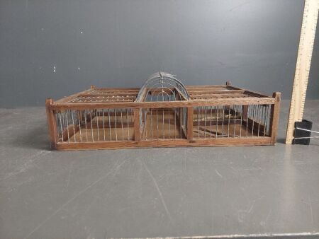 Asian Bird Cage