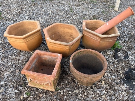 6 Assorted Terracotta Pots