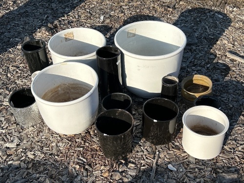 Assorted lot of Glazed Pots