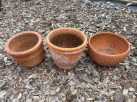 3 Terracotta Pots  - 2