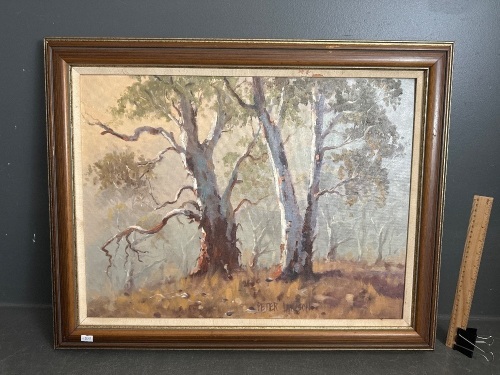 Original Peter Lawson Gum Trees Oil on Board signed lower centre