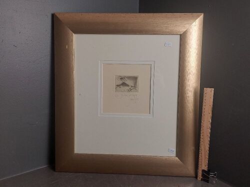 Original John Olsen Bird & Grasshopper signed etching limited edition 16 of 30