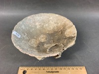 Ancient Asian Shipwrecked Bowl - 2