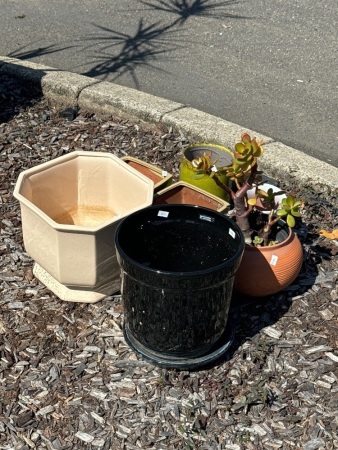 Selection of Plant Pots