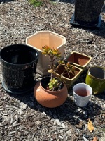 Selection of Plant Pots - 2