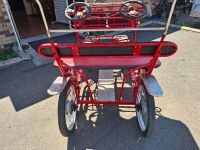 Surrey Tandum Pedal Bike - 4 Seater - Excellent Condition - 3