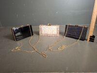 3 Acrylic Clutch Evening Bags