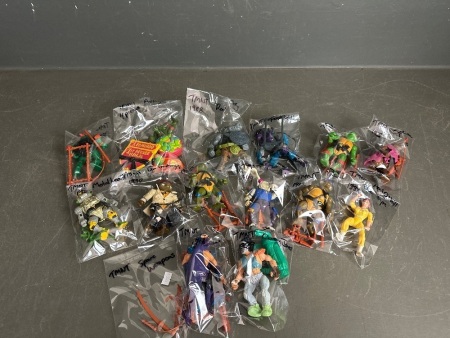 1 Mega Lot of Collectable Teenage Mutant Ninja Turtles Figurines