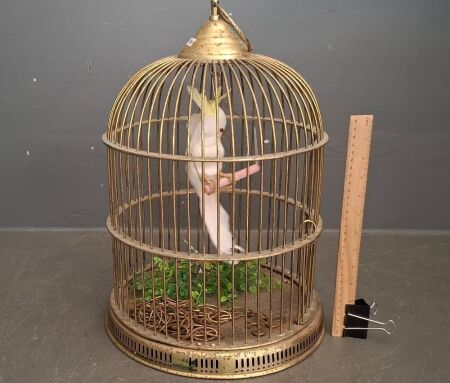 Brass Ornamental Bird Cage