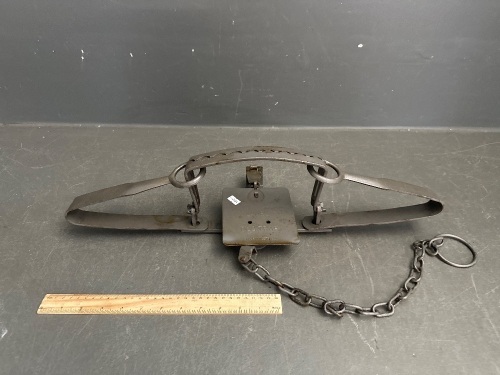 Large Lanes Australia Dog Trap marked app 570